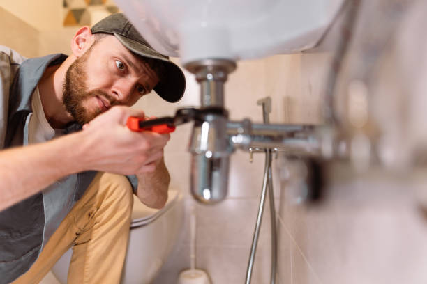 Best Water Leak Repair  in Todd Creek, CO